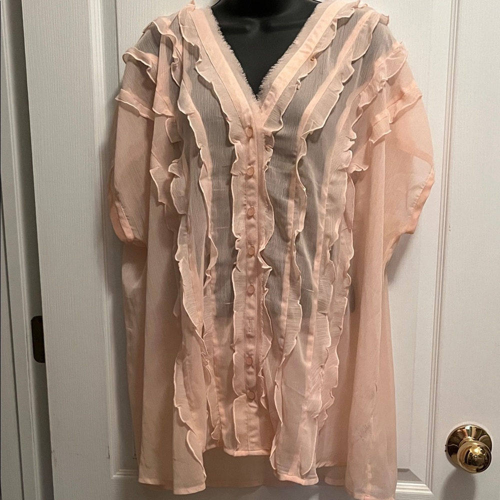 Denim 24/7 Light Pink Sheer Ruffle Blouse